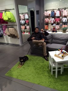 Basti shopping w dog