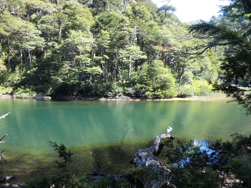 A very green lake, Lago Verde