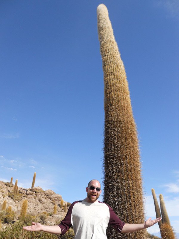 Now THAT'S a cactus!