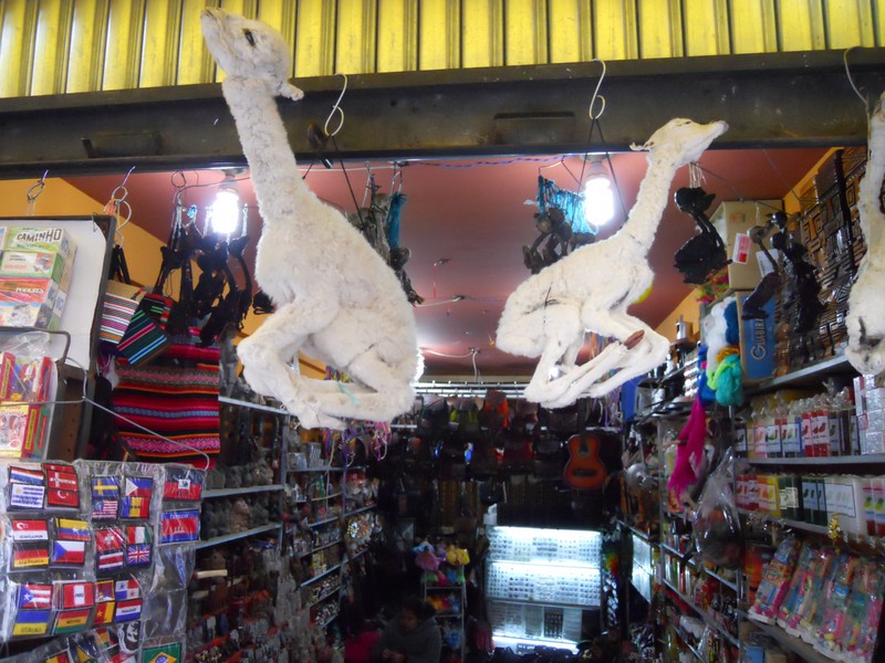 Dried llamas at the witches market.