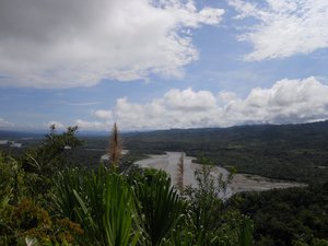 We reached the flatter, wider sub-tropical rainforest, with the Madre de Dios river running through.