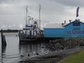 Port Macquarie fishmonger, boat and pelicans.