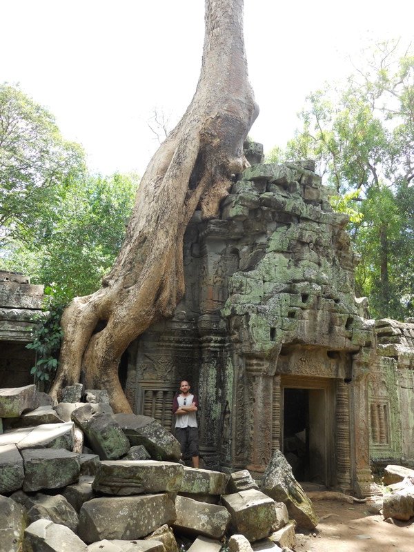 Nature moving back in at Ta Prohm