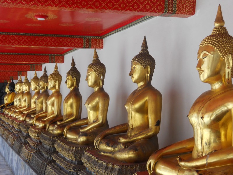 Lots of Buddhas