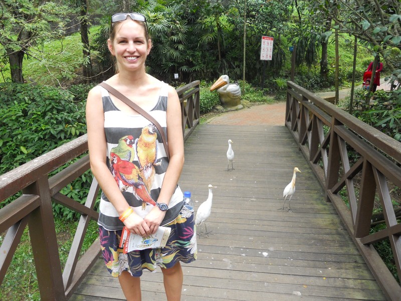 Sarah at the bird park, gaining the attention of some inquisitive heron-like birds