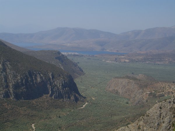 The view from Delphi oner the "sea of olives"