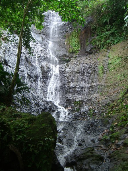 The falls at Riviere Cirique