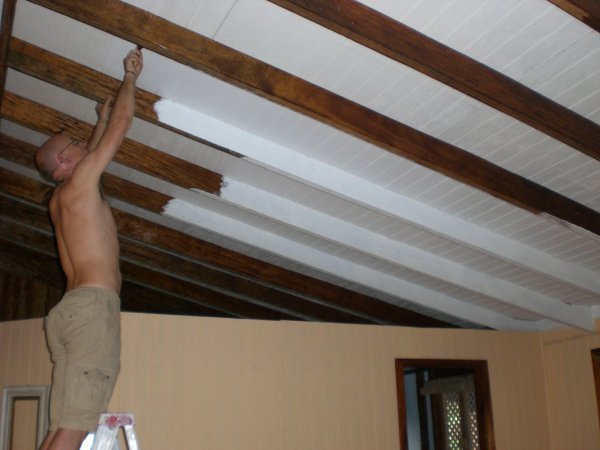 Painting the ceiling