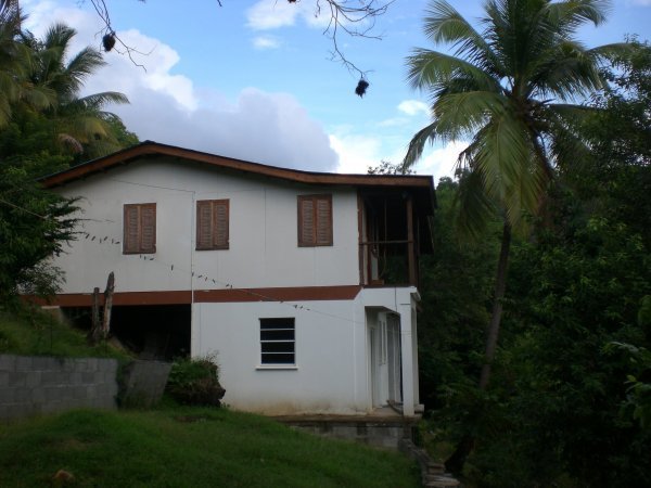 A view of the side of the house