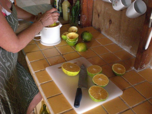Kate juicing our limes and market-bought oranges