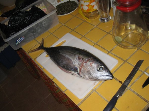 Tuna before