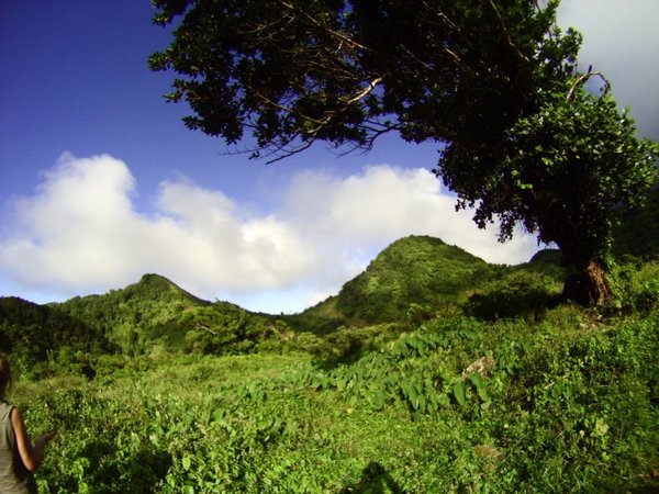 Morne aux Diables - the rim of the old volcano