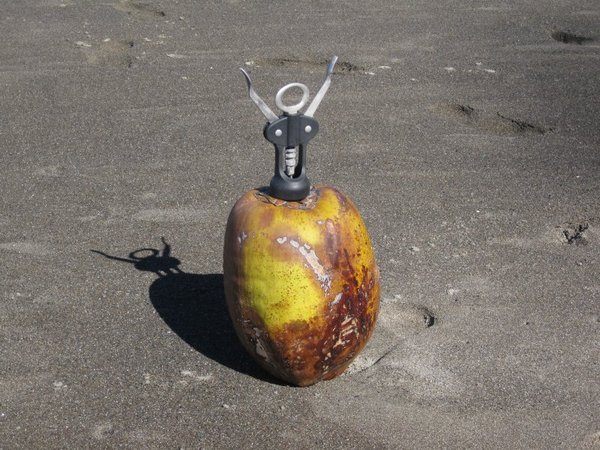 Found on a beach - resouceful or art?