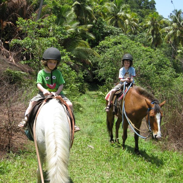 Rainforest Riding