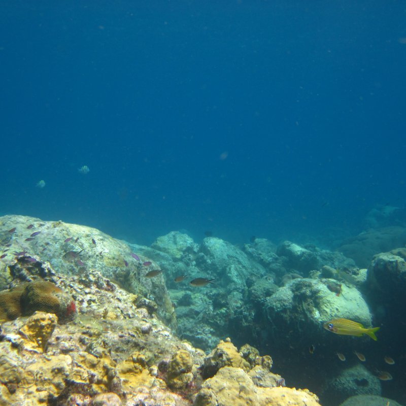 Toucarie reef - blue water
