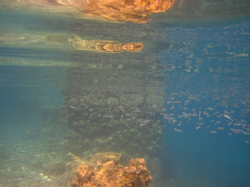 An underwater wall at Cleopatra's bay