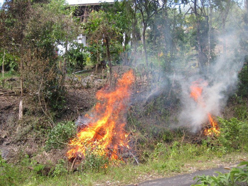 extreme gardening - one of several fires in the last month to get rid of garden rubbish