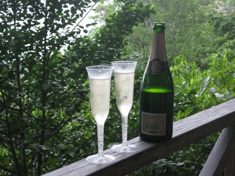anniversary trip  jungle bay champagne