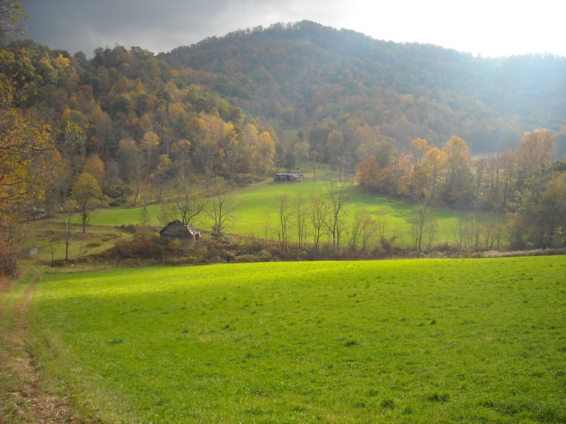 Pisgah National Forest