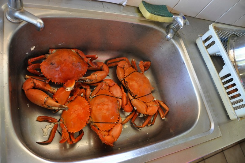 Cooked Crabs ready for lunch