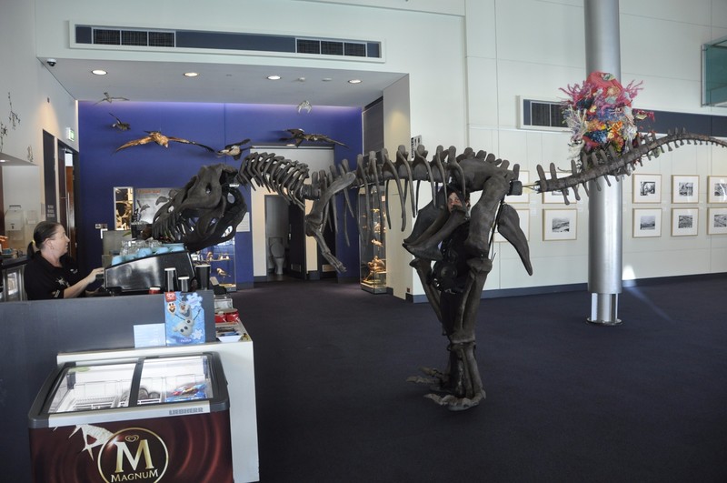 Dinosaur at the Museum