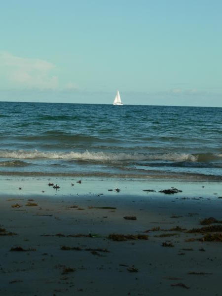 A Yacht on the horizon - Four Mile Beach