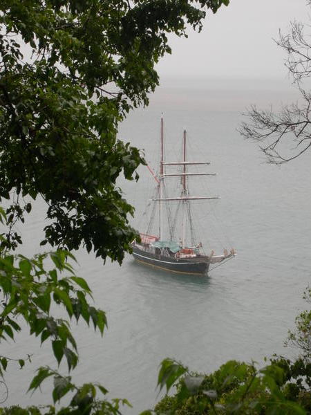 View of the Solway Lass from rainforest walk