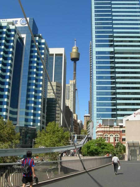 Sydney Tower, from Darling Harbour