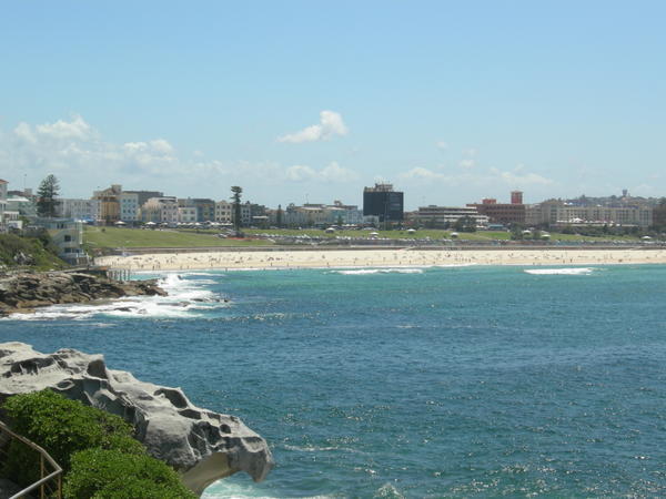 View of Bondi from Coastal Walk