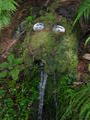 Rapaura Water Gardens #2