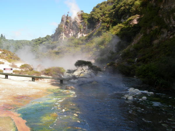 A hot water stream, Waimangu Volcanic Valley