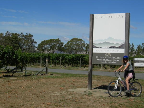 Cloudy Bay Winery