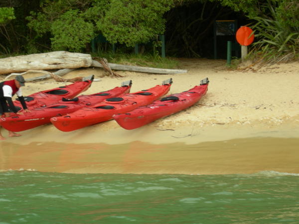Kayaks on Bark Bay