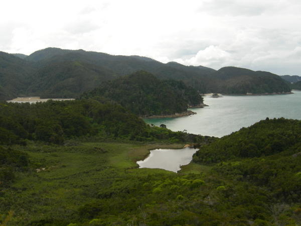 Anchorage & Torrent Bays from up high