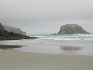 Allan Beach, Otago Peninsular