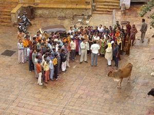 cows are put to good use as tour guides at Jaisalmer fort...