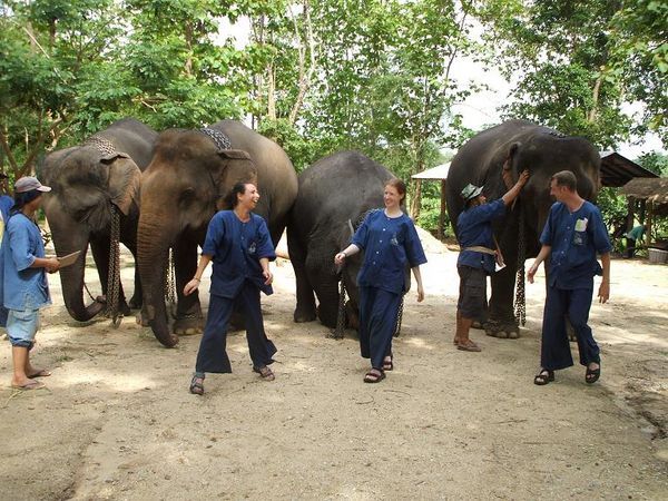 off our elephants for the last time