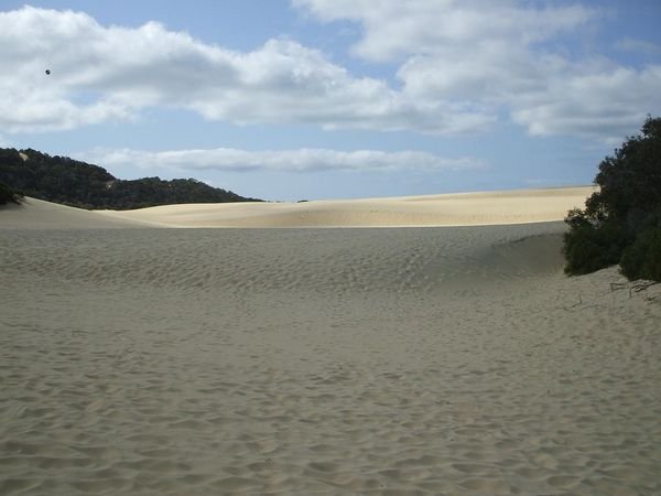 huge sand hill by lake wabby