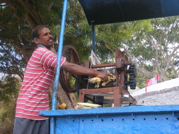 sugar cane juice maker (with squashed flies included)