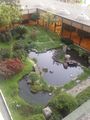 View of the Japanese garden from our balcony