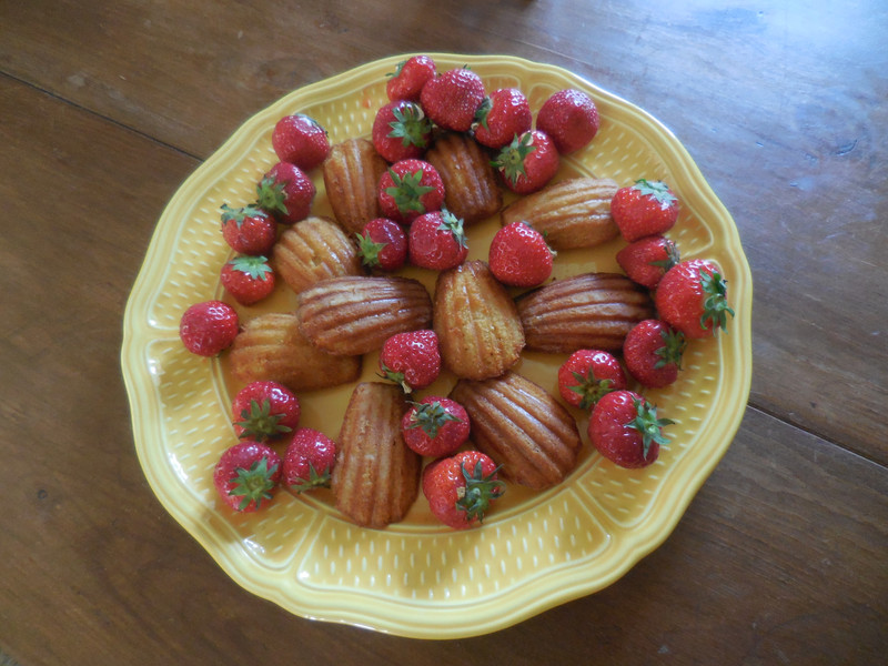 Madeleines et fraises
