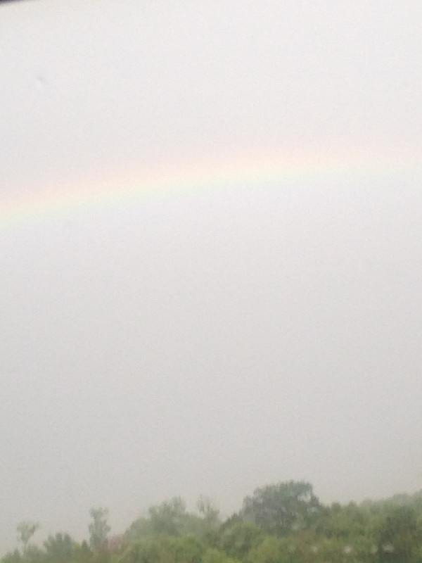 The rainbow...always a promise