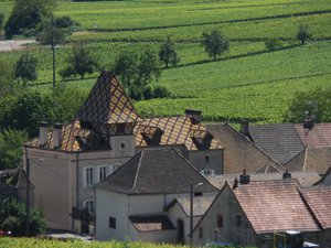 Burgundian roof tops at Santenay