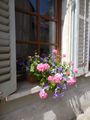 Gorgeous flower boxes adorn window sills