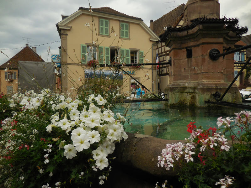 Blooms around the fountain