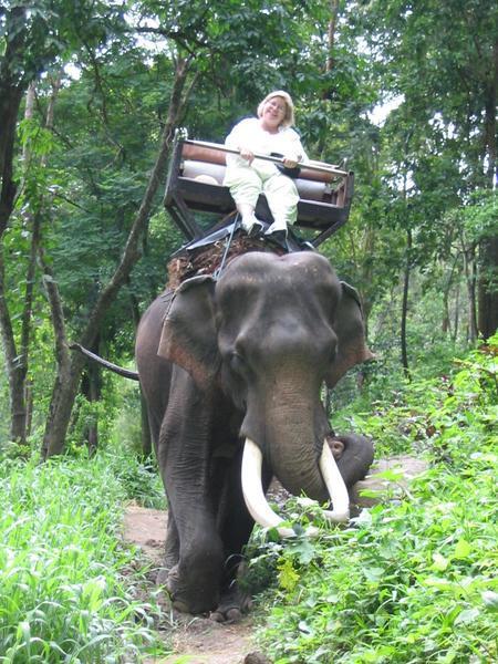 Me ALONE on the elephant