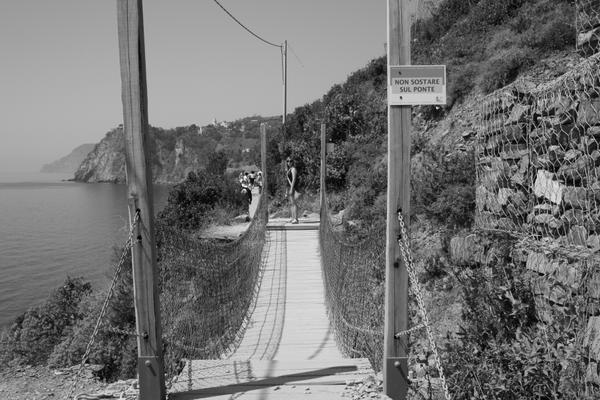 Rope Bridge on Trail