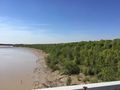 South Alligator river