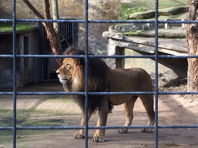 Adelaide zoo