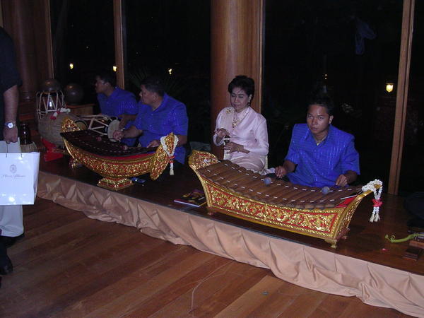 The musicians at our Gala Dinner